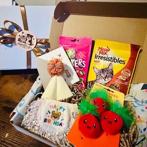 Cat Gift Box with Toys and Treats